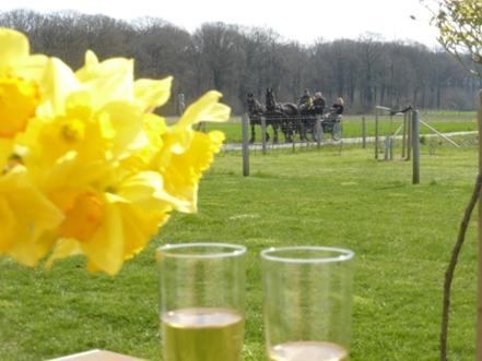 Bed and Breakfast De Zevende Zon Poperinge Esterno foto