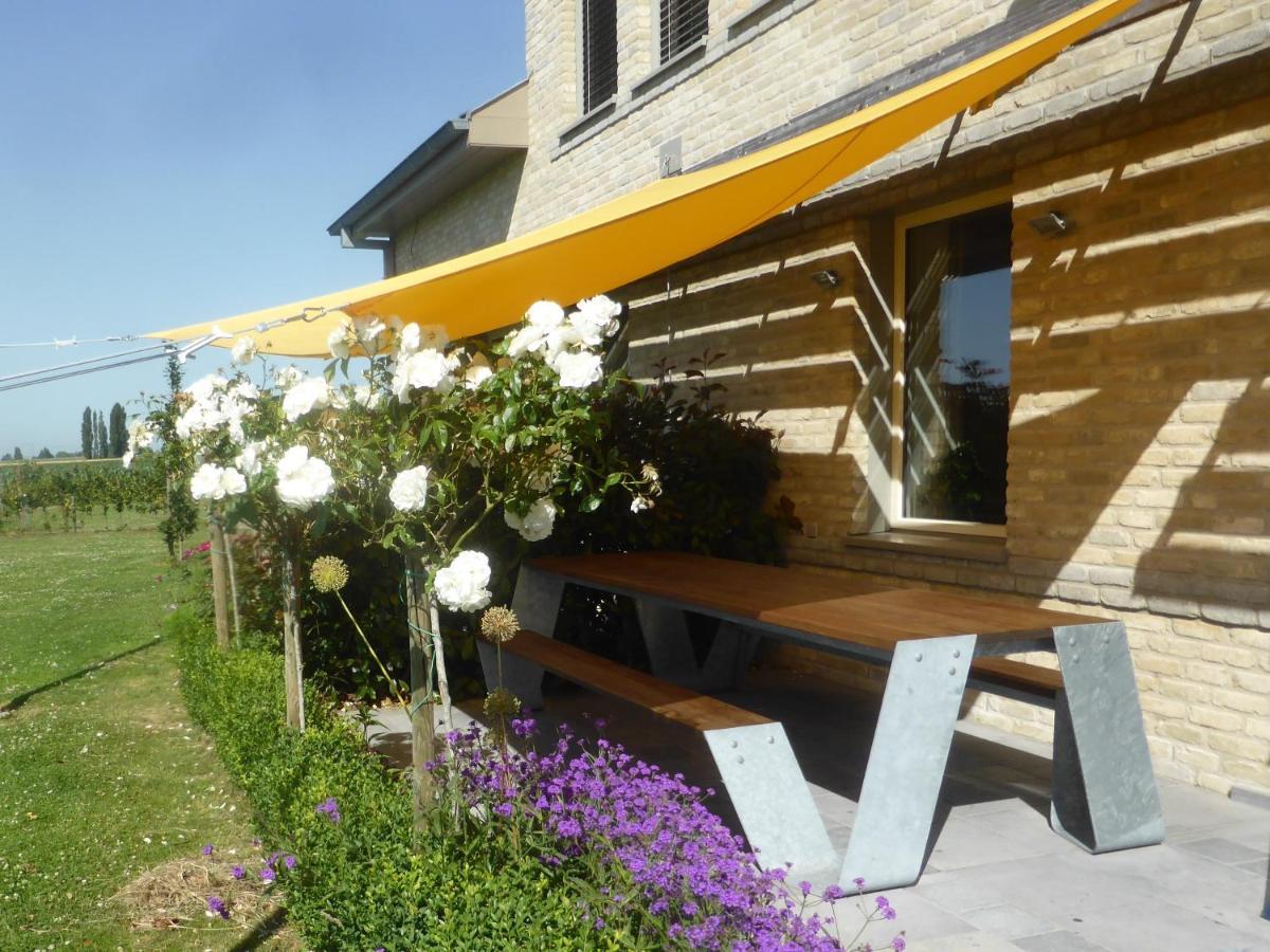 Bed and Breakfast De Zevende Zon Poperinge Esterno foto
